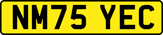 NM75YEC