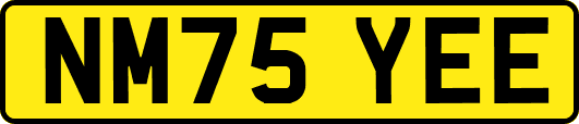 NM75YEE