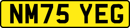 NM75YEG