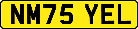 NM75YEL