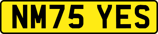 NM75YES