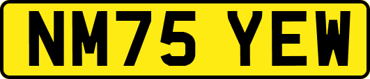NM75YEW