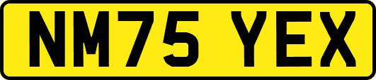 NM75YEX