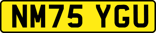 NM75YGU