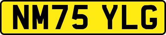 NM75YLG