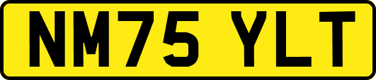 NM75YLT