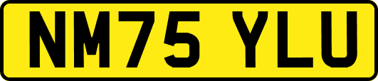 NM75YLU
