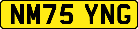 NM75YNG