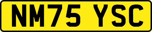 NM75YSC