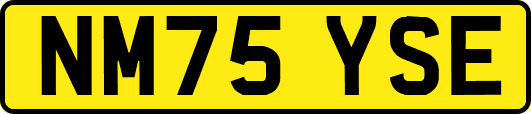 NM75YSE