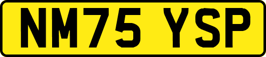 NM75YSP
