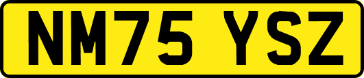 NM75YSZ
