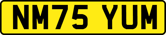 NM75YUM