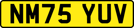 NM75YUV