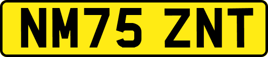 NM75ZNT