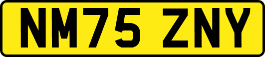 NM75ZNY