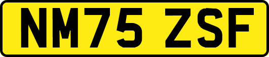 NM75ZSF