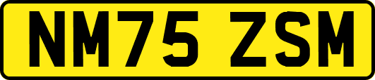 NM75ZSM