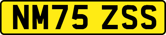 NM75ZSS
