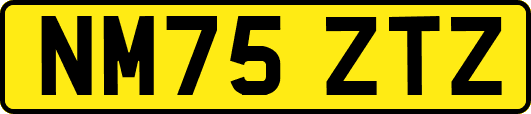 NM75ZTZ