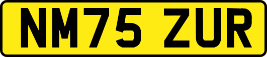 NM75ZUR