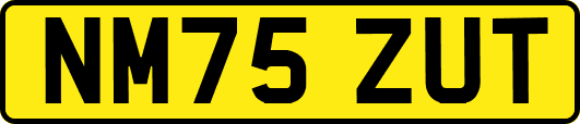 NM75ZUT