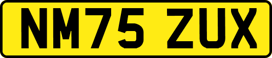 NM75ZUX