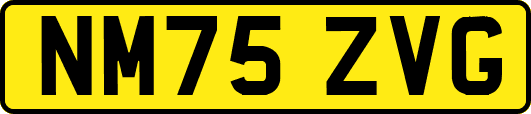 NM75ZVG