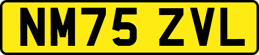 NM75ZVL