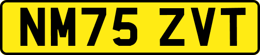 NM75ZVT