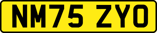 NM75ZYO