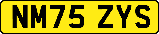 NM75ZYS