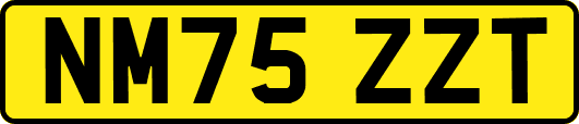 NM75ZZT