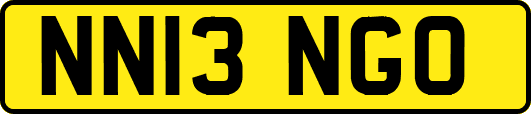 NN13NGO