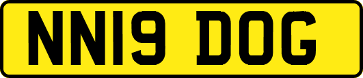 NN19DOG