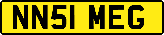 NN51MEG