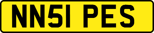 NN51PES