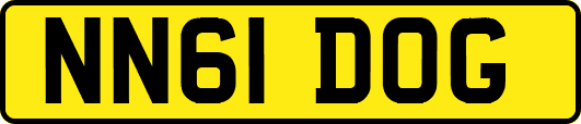 NN61DOG