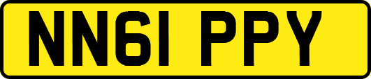 NN61PPY