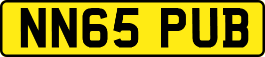 NN65PUB