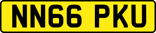 NN66PKU