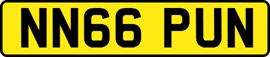 NN66PUN