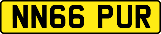 NN66PUR