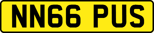 NN66PUS