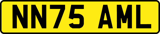 NN75AML