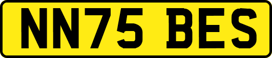 NN75BES