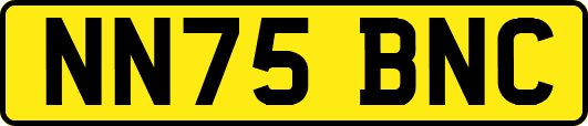NN75BNC