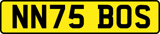 NN75BOS