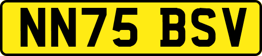 NN75BSV