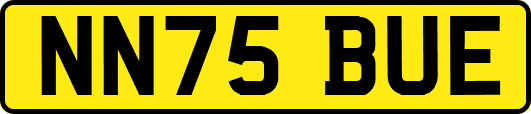 NN75BUE